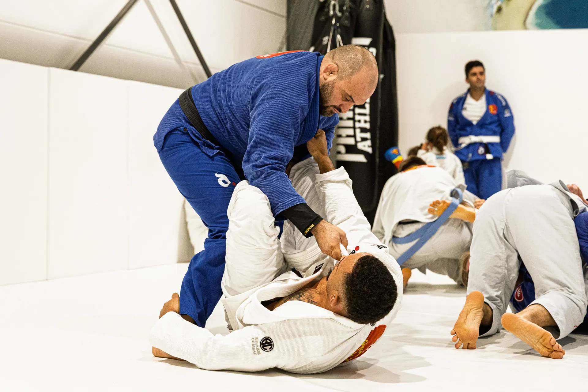 Zwei Trainingspartner im blauen und weißen Gi üben gemeinsam eine BJJ-Technik.